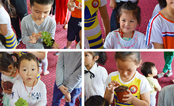 1527490768621091945.jpg 12.jpg