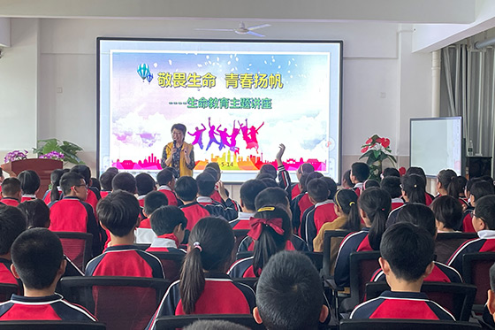 1685004650041047218.jpg 2.jpg