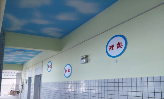 肥西农兴中学已安装完成